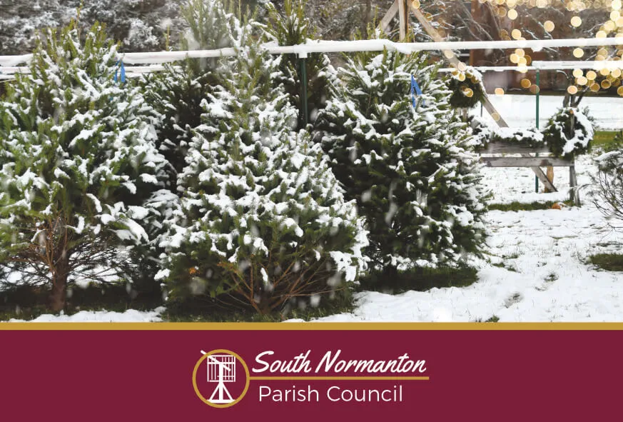 South Normanton Schools Christmas Trees Donation | SNPC