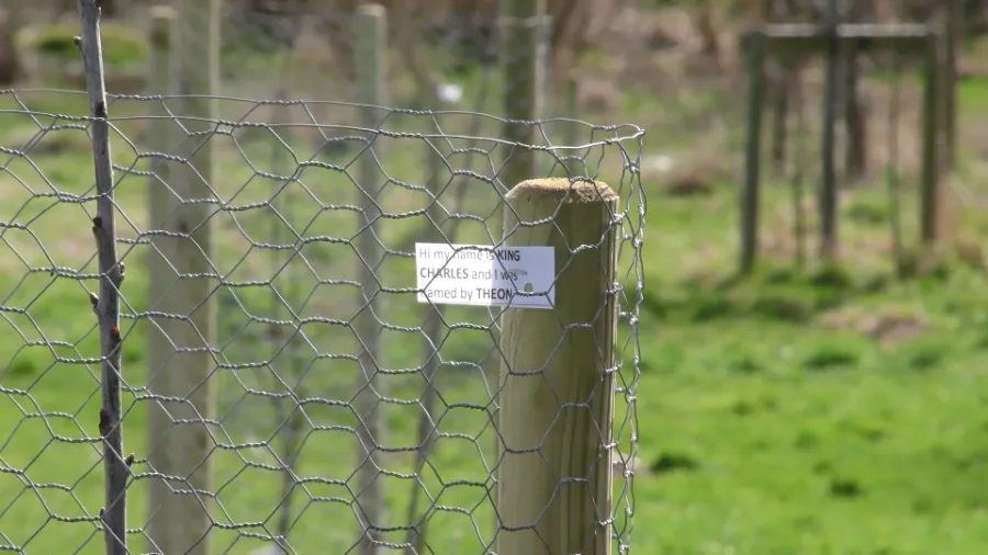 South Normanton Community Orchard | SNPC