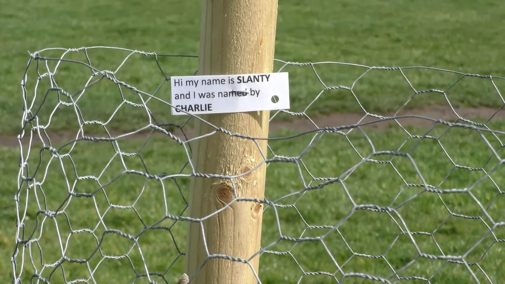 South Normanton Community Orchard | SNPC