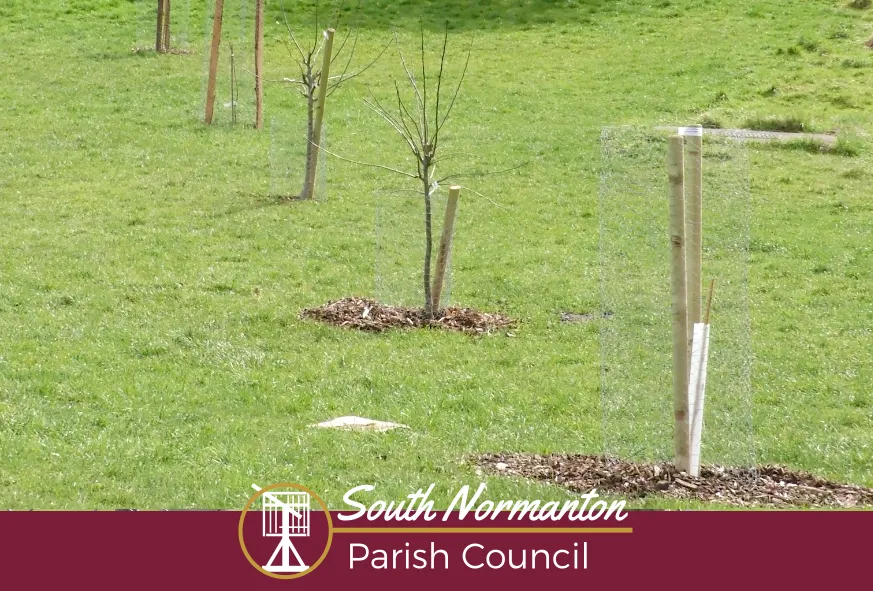 South Normanton Community Orchard | SNPC